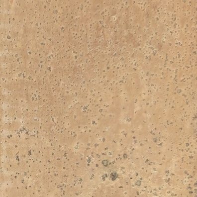 Cork Texture